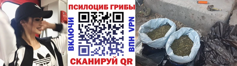 как найти закладки  кракен зеркало  Псилоцибиновые грибы Psilocybe  Тырныауз 